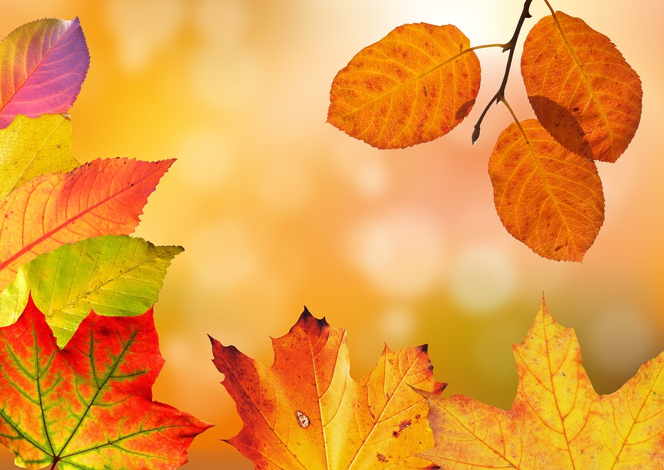 Herbstferien